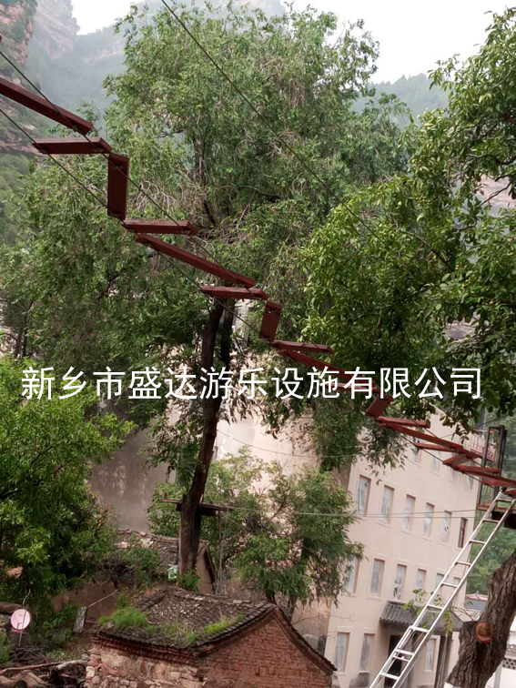 空中云梯