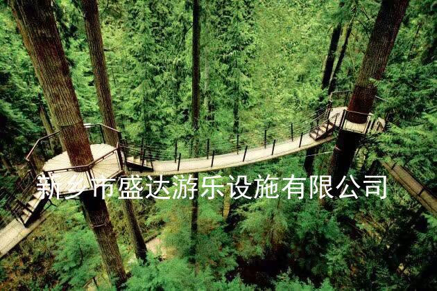 空中吊桥